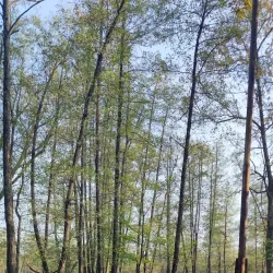 Surrounding Villages and Countryside - Zivinice