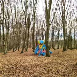 Surrounding Villages and Countryside - Zivinice