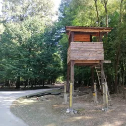 Surrounding Villages and Countryside - Zivinice