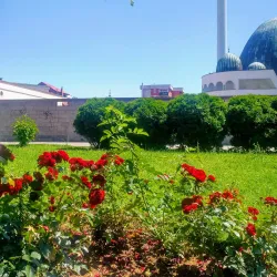 Zivinice Old Town - Zivinice