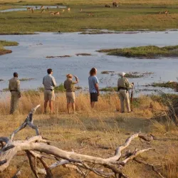 Central Kalahari Game Reserve - Boatlaname