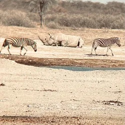 Khama Rhino Sanctuary - Boatlaname
