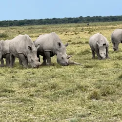 Khama Rhino Sanctuary - Boatlaname