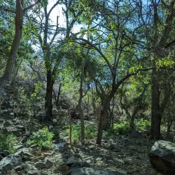 Tswapong Hills - Bobonong