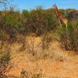 Gaborone Game Reserve - Bokaa