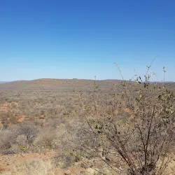 Mokolodi Nature Reserve - Bokaa