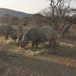 Mokolodi Nature Reserve - Bokaa