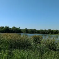 Mokolodi Nature Reserve - Bokaa