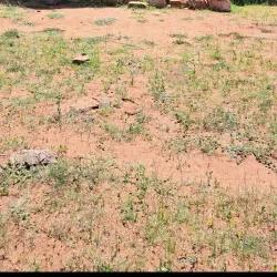 Old Palapye Ruins - Francistown