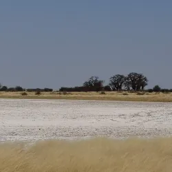 Nxai Pan National Park - Gweta
