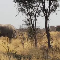 Nxai Pan National Park - Gweta