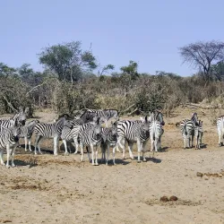 Salt Pan Night Sky Viewing - Gweta