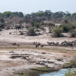 Salt Pan Night Sky Viewing - Gweta