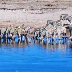Salt Pan Night Sky Viewing - Gweta