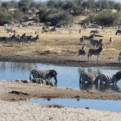 Salt Pan Night Sky Viewing - Gweta