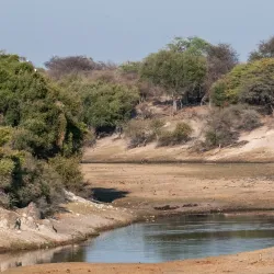 Salt Pan Night Sky Viewing - Gweta
