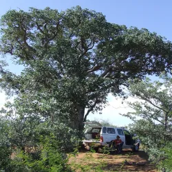 Gcwihaba Caves (Drotsky's Caves) - Kachikau