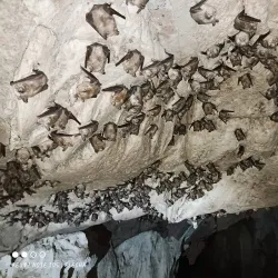 Gcwihaba Caves (Drotsky's Caves) - Kachikau