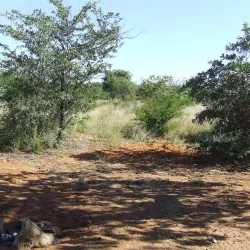 Gcwihaba Caves (Drotsky's Caves) - Kachikau