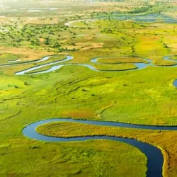 Okavango Delta - Kachikau