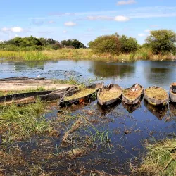 Okavango Delta - Kachikau