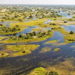 Okavango Delta - Kachikau