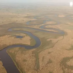 Okavango Delta - Kachikau