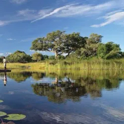Okavango Delta - Kachikau