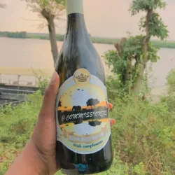 Chobe Marina Lodge - Kasane