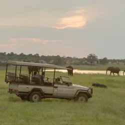 Muchenje Safari Lodge - Kasane