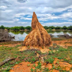 Gaborone Game Reserve - Kopong