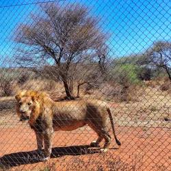 Gaborone Game Reserve - Kopong