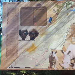 Nearby Nature Walks and Wildlife Viewing - Kopong