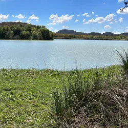 Nearby Nature Walks and Wildlife Viewing - Kopong