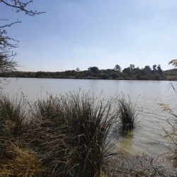 Nearby Nature Walks and Wildlife Viewing - Kopong