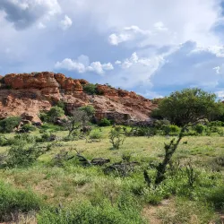 Mapungubwe National Park (nearby in South Africa) - Mathathane