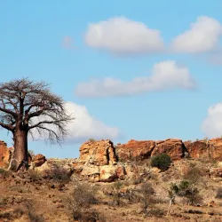 Mapungubwe National Park (nearby in South Africa) - Mathathane