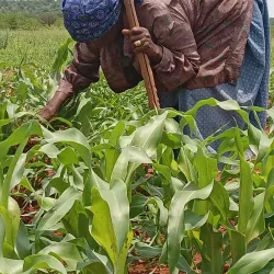 Mathathane Village Cultural Experience - Mathathane