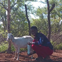 Mathathane Village Cultural Experience - Mathathane