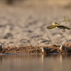 Scenic Drives and Photography - Mathathane