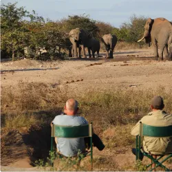 Scenic Drives and Photography - Mathathane