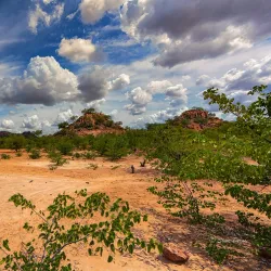 Scenic Drives and Photography - Mathathane