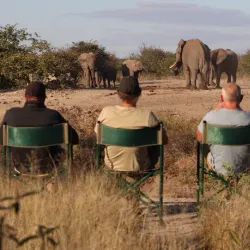 Scenic Drives and Photography - Mathathane