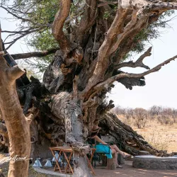 Scenic Drives and Photography - Mathathane