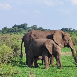 Tuli Block - Mathathane