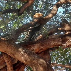 Tuli Block - Mathathane