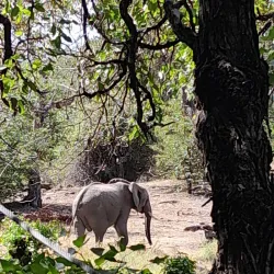 Tuli Block - Mathathane