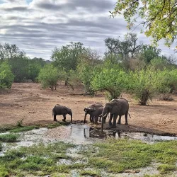 Tuli Block - Mathathane