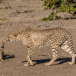 Tuli Block - Mathathane