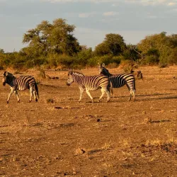Tuli Block - Mathathane